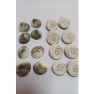 Constrictor Stone, Natural Stone, Healing Stone, Mixed Male and Female - 7 PCS